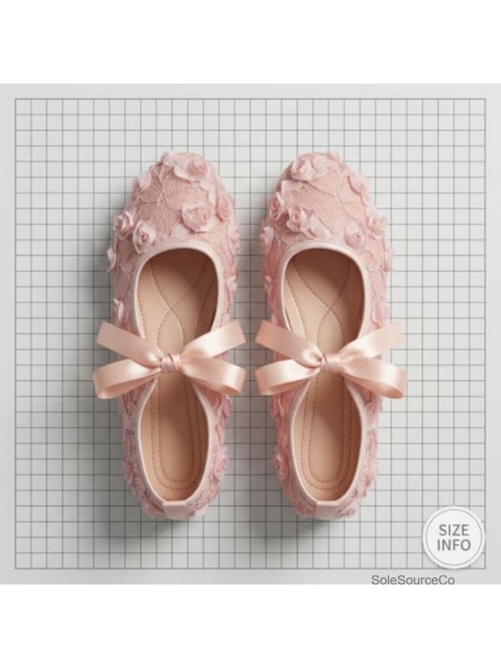 Lace Ballet Flats with 3D Rose Flowers & Ribbon Bowknot, Breathable Mesh Mary - Picture 5 of 6